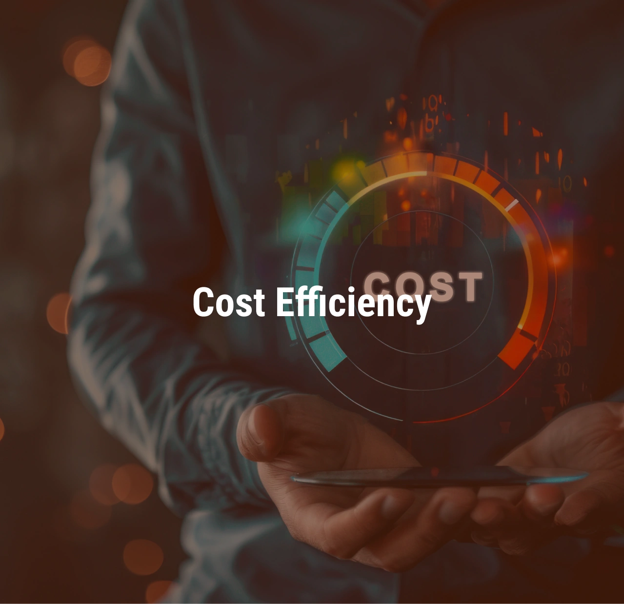 Cost Efficiency