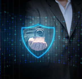 Data Integrity Risks