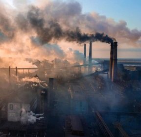 Harsh Yard Conditions