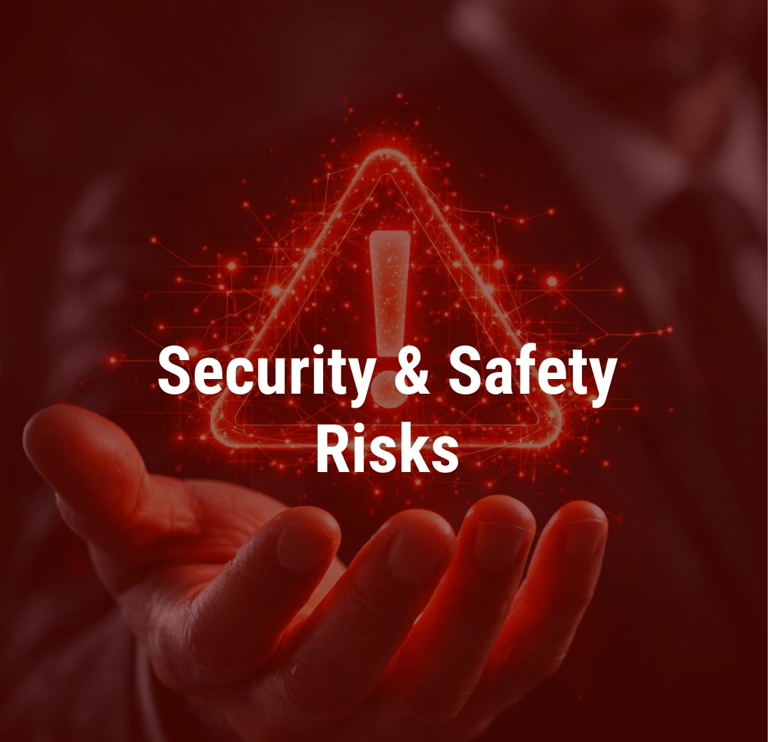 Security & Safety Risks